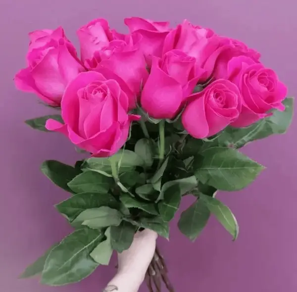 Пинк Флойд